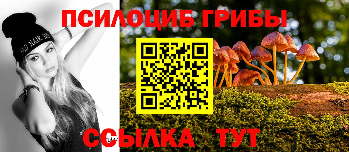 Галлюциногенные грибы ЛСД  Вход с VPN  Горно-Алтайск 