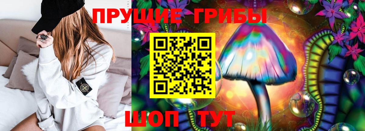 Псилоцибиновые грибы Psilocybine cubensis Горно-Алтайск
